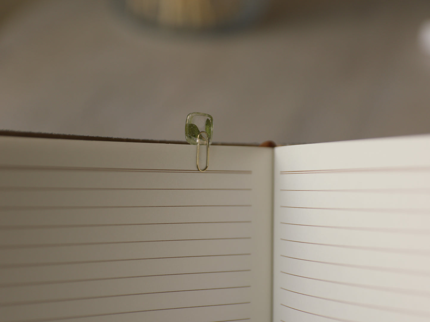 Pressed Vetch Leaves Bookmark